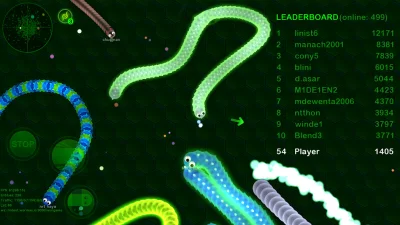 Wormax.io screenshot №7